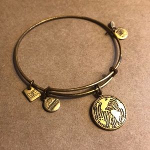Alex and Ani Bangle, world charm